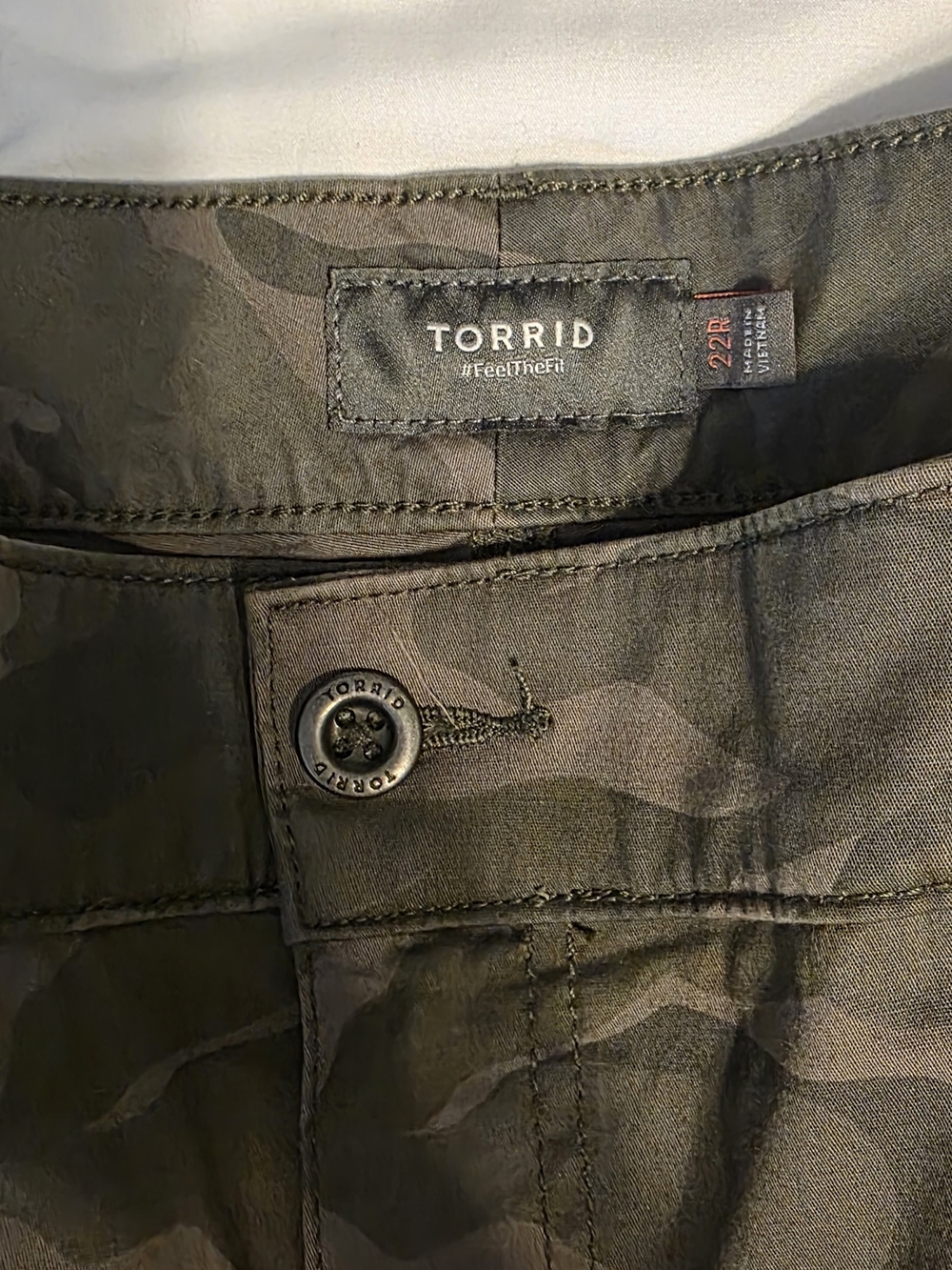 Torrid • Camo Cargo Pants • 22R